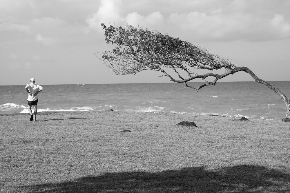ALAIN LE CHAPELIER – Artiste Photographe – To Arch – 2020
Series : Seaside