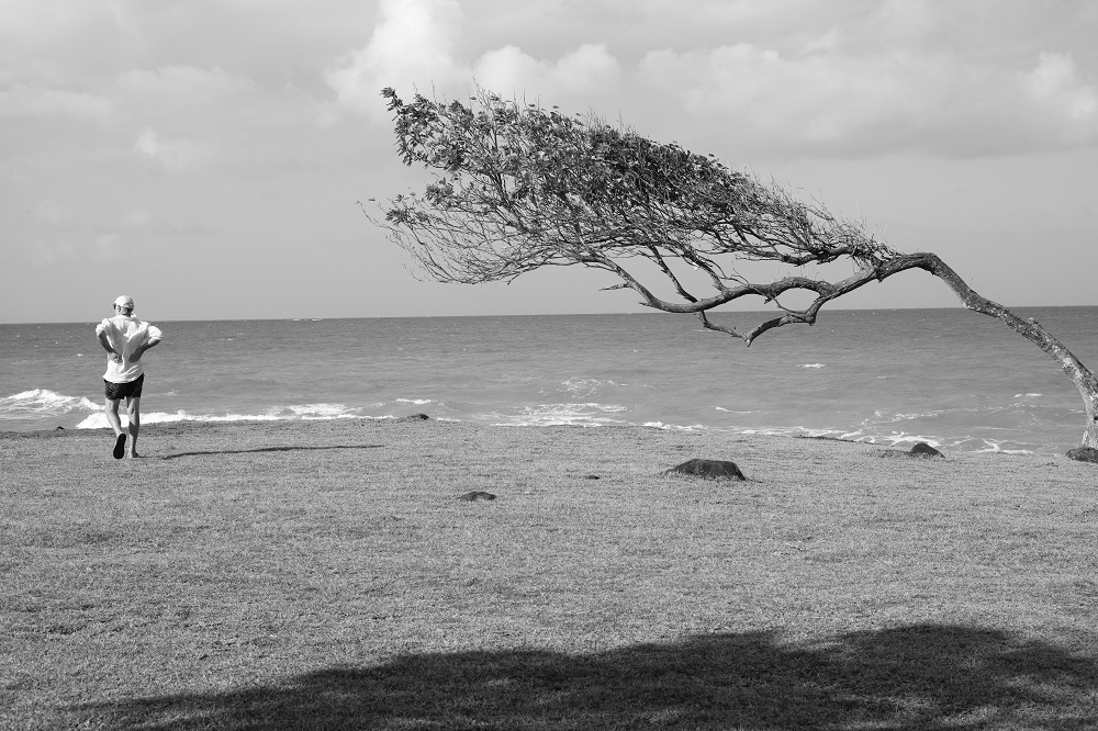 ALAIN LE CHAPELIER - Artiste Photographe - Se cambrer - 2020
Série : Bords de mer