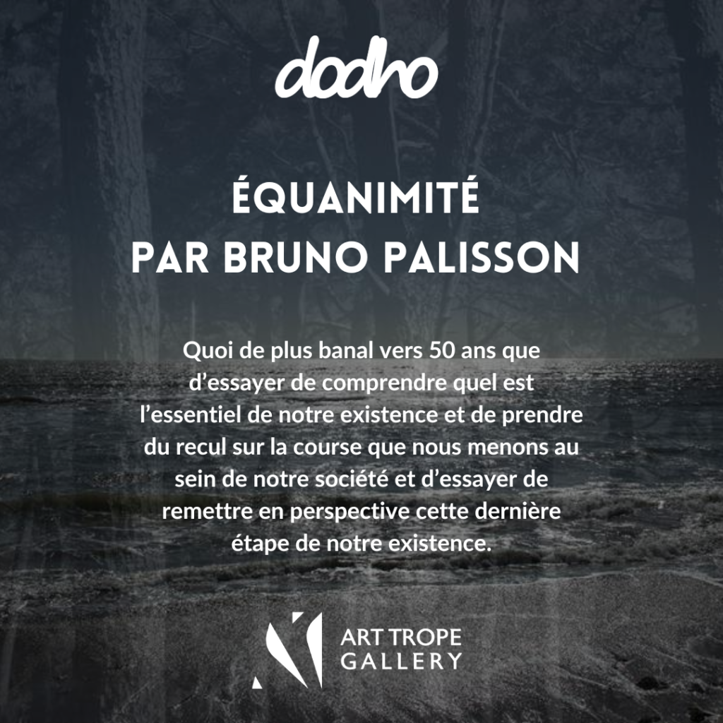 Equanimité - Bruno Palisson, Dodho