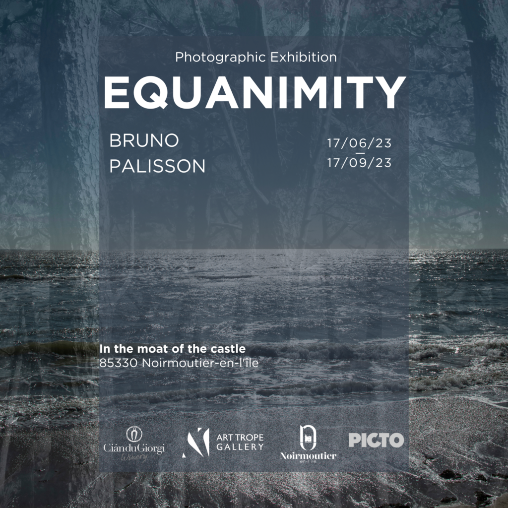 Equanimity Exhibition by Bruno Palisson VEN