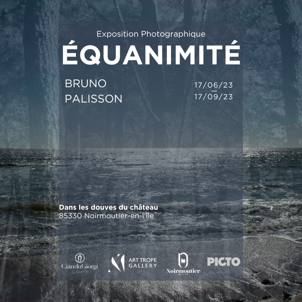 Equanimity Exhibition by Bruno Palisson VFR