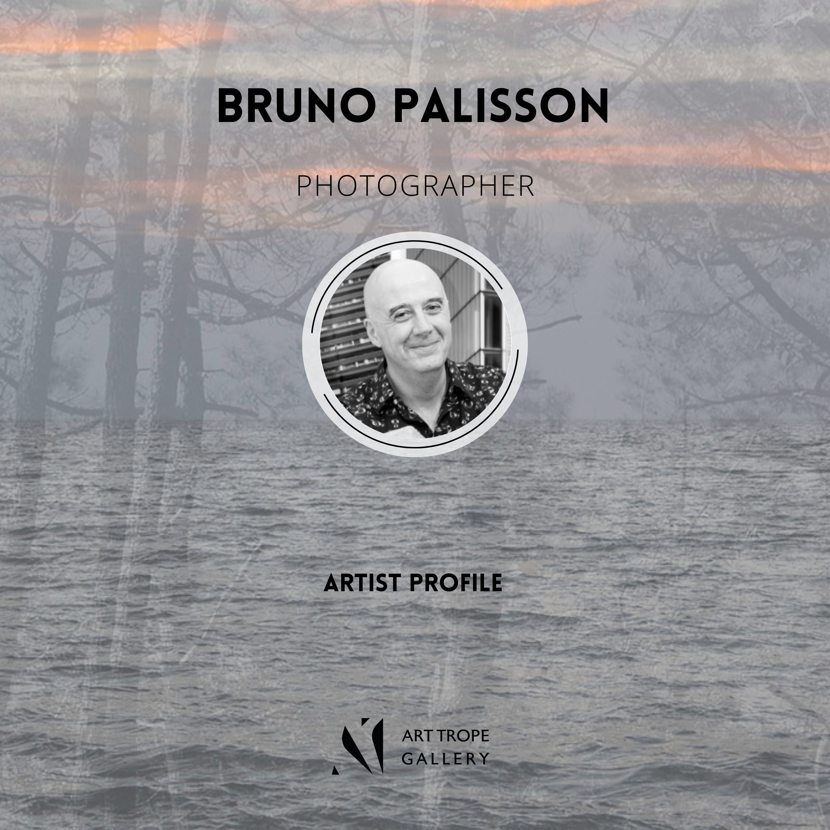 Art Trope Gallery features Photographer Bruno Palisson in a dedicated article!
