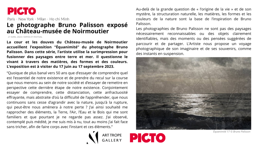 Picto Bruno Palisson article exposition
